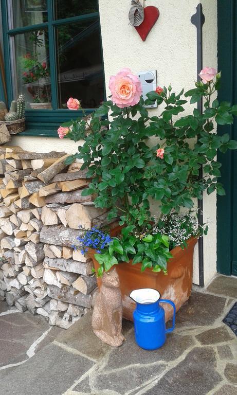 Holdhaeusl Apartamento Schladming Quarto foto